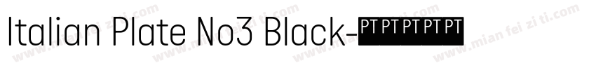 Italian Plate No3 Black字体转换